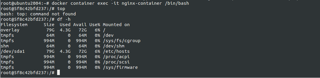 Docker Exec Command Line Options