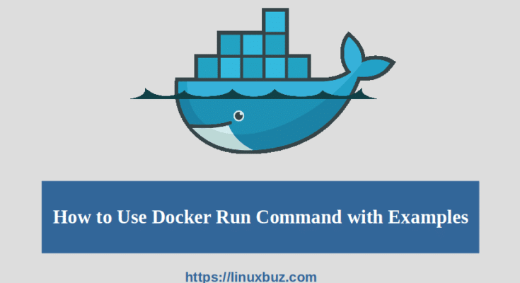 how to use docker run command