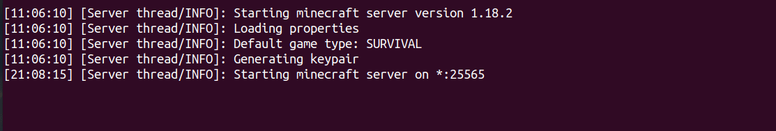 start minecraft server