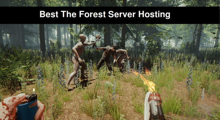 Best The Forest Server Hosting