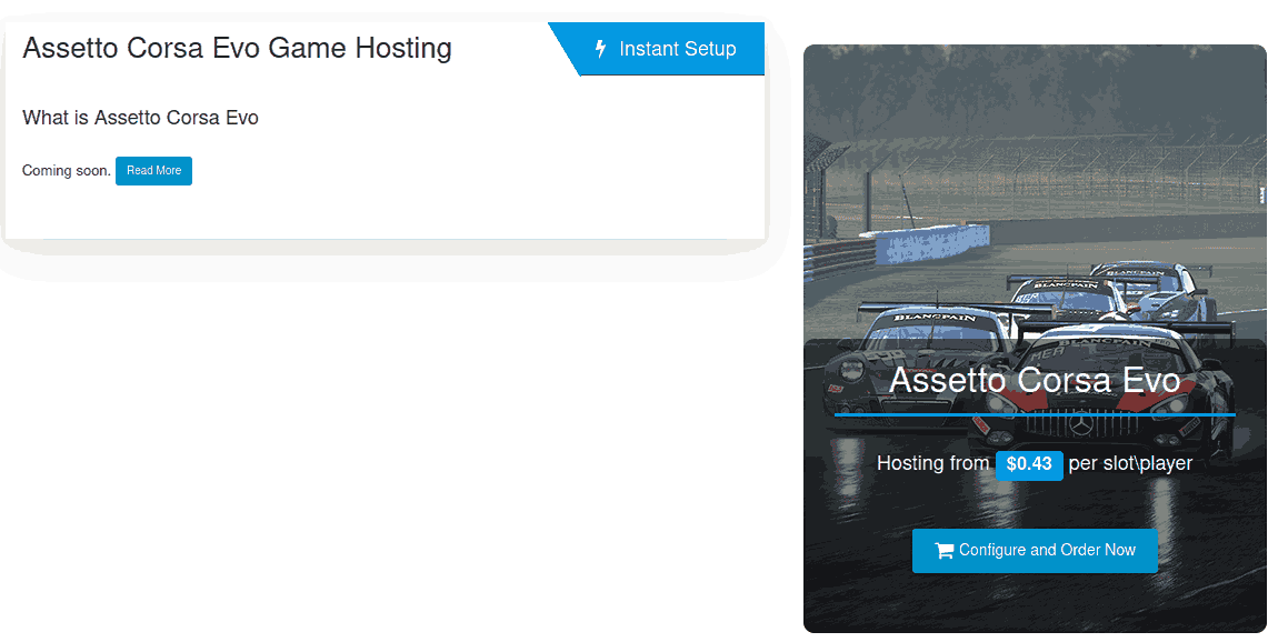 Citadel server best Assetto Corsa server hosting
