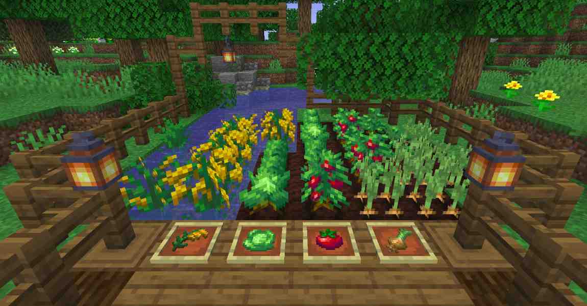 Farmer’s Delight